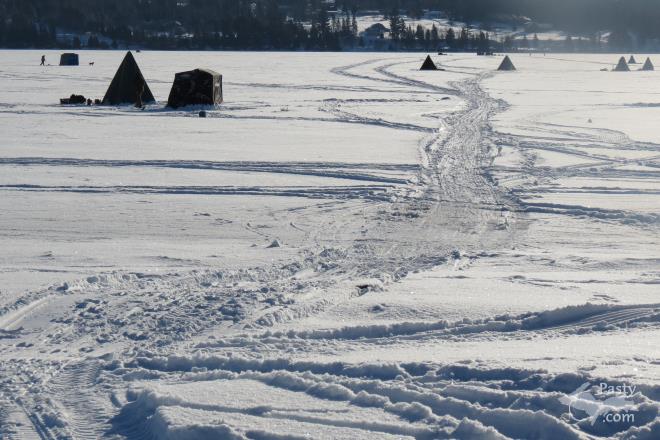 Photos by Emma Stout