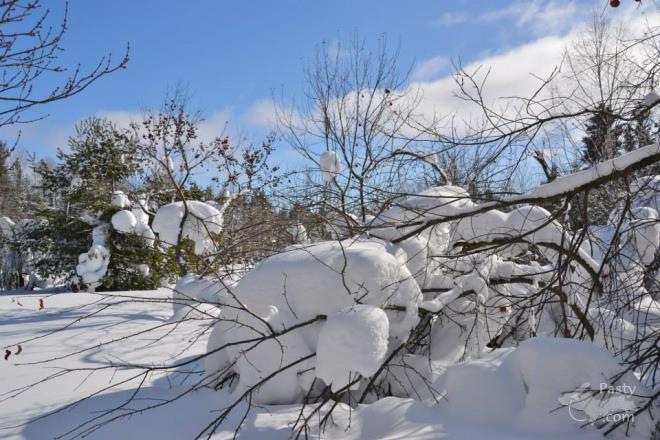 Photos by Judy Byykkonen