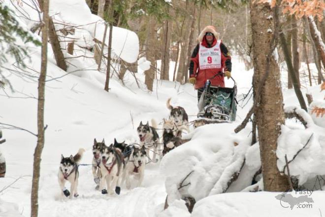 Photos by Aladino Mandoli