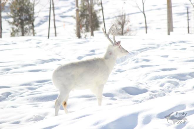 Photos by Melody Provost Holmes