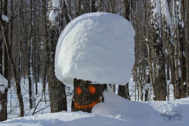 Photos by Melody Provost Holmes