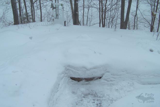 Photos by Brenda Leigh