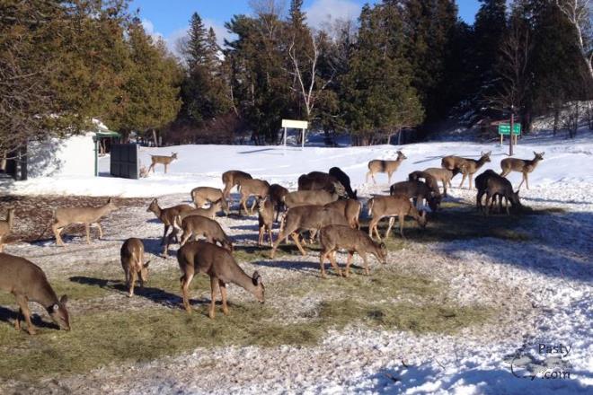 Photos by Liz Baumann