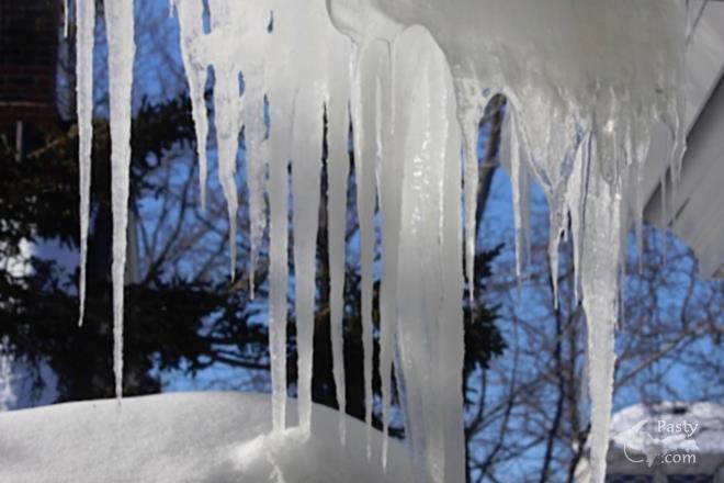 Photos by Barb Bouwkamp