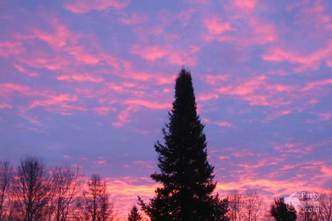 Photos by Kelly Sullivan