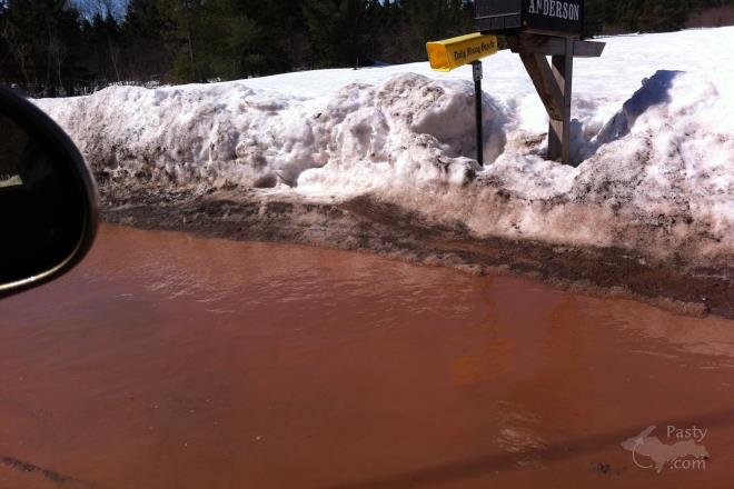 Photos by Beth Jukuri