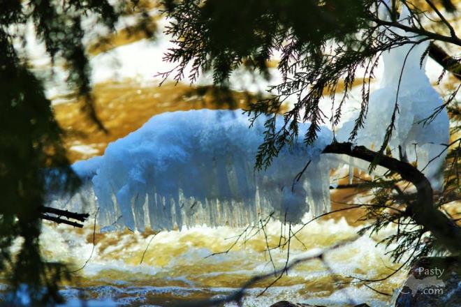 Photos by Melody Provost Holmes