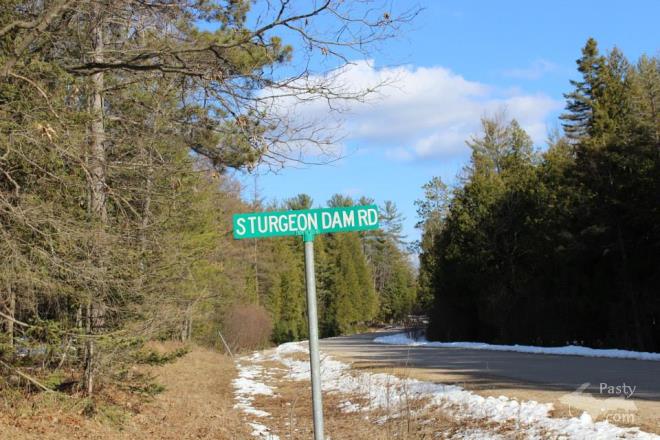 Photos by Melody Provost Holmes