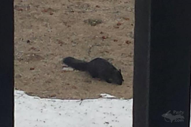 Photo by Sally Beaudette