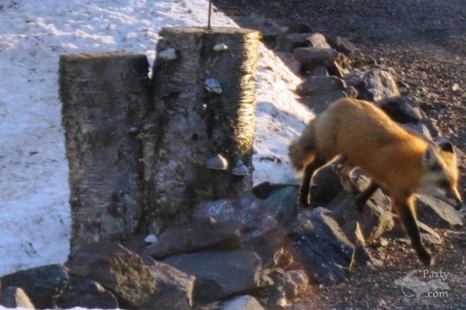 Photos by Bill Haller