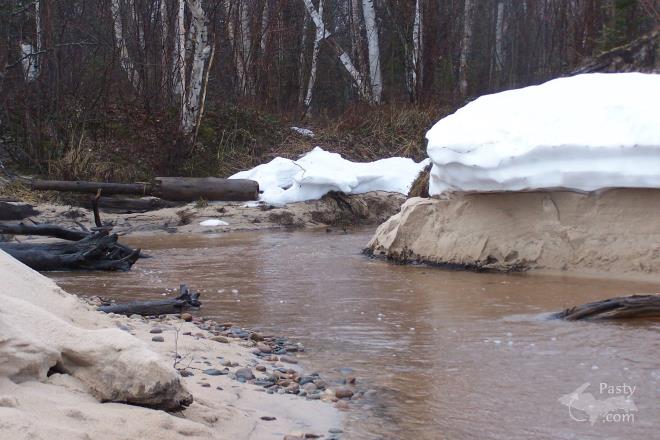 Photos by Brenda Leigh