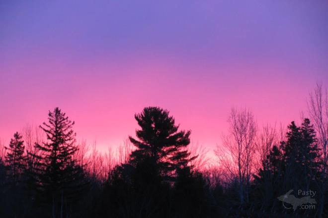 Photo by Patty Rheault