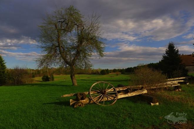 Photos by Joe Kirkish