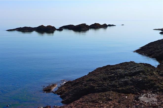 Photos by Joe Kirkish