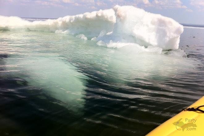 Photo by Beth Jukuri