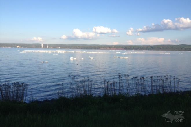 Photo by Katriina Hopper