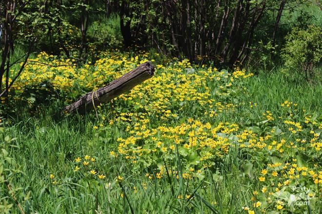 Photos by Barb Bouwkamp