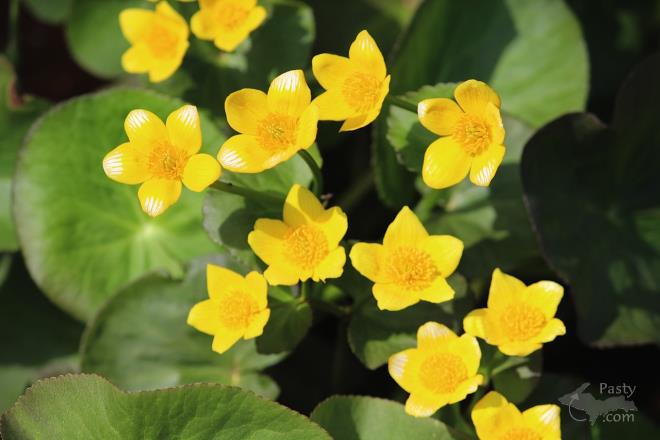 Photos by Barb Bouwkamp