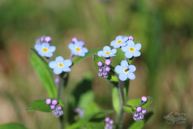 Photos by Barb Bouwkamp