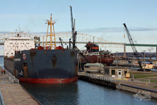 Photos by Cindy Freeman