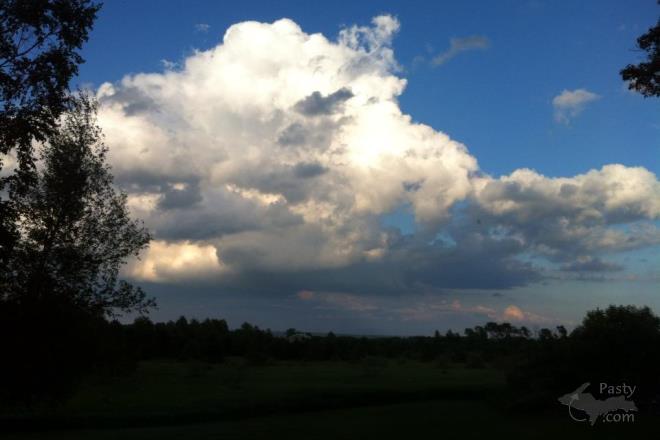 Photos by Kathy Archambeau