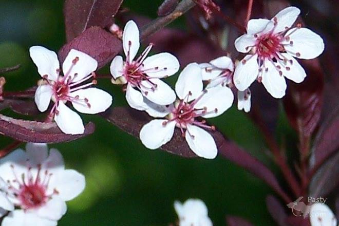 Photos by Brenda Leigh