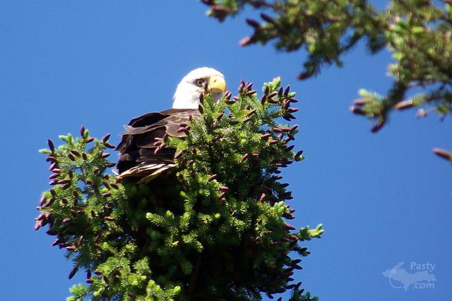 Photos by Marsha Galbraith