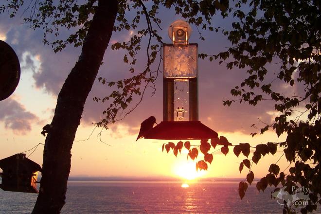 Photos by Marsha Galbraith