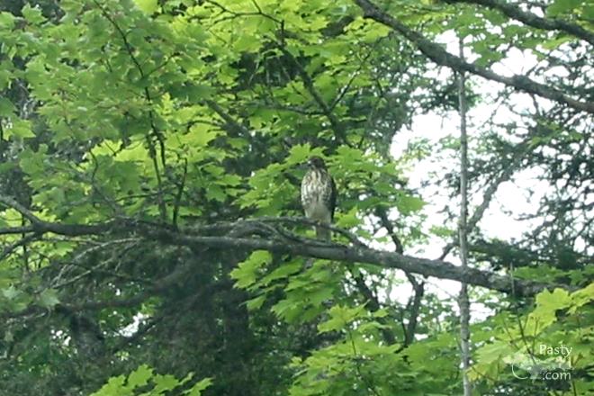 Photos by Kelly Sullivan