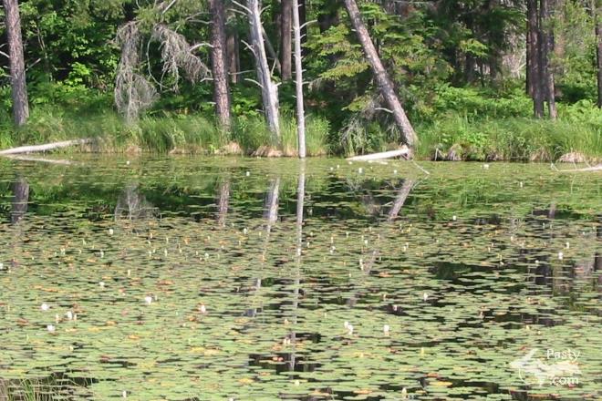 Photos by Kelly Sullivan