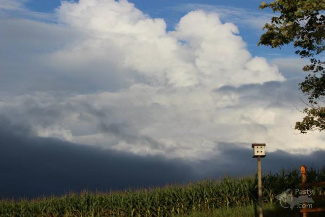 Photos by Melody Provost Holmes