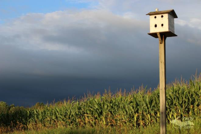 Photos by Melody Provost Holmes