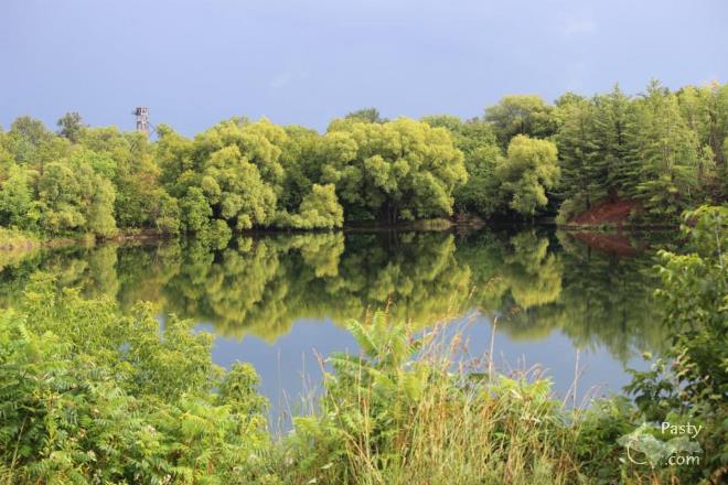 Photos by Melody Provost Holmes