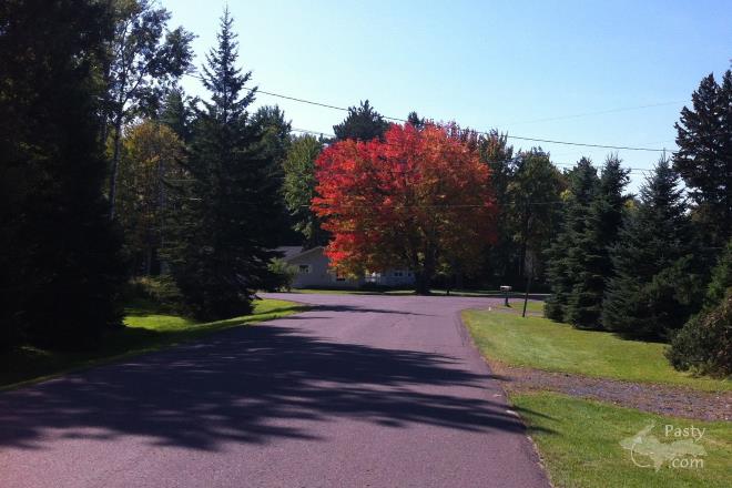 Photos by Beth Jukuri