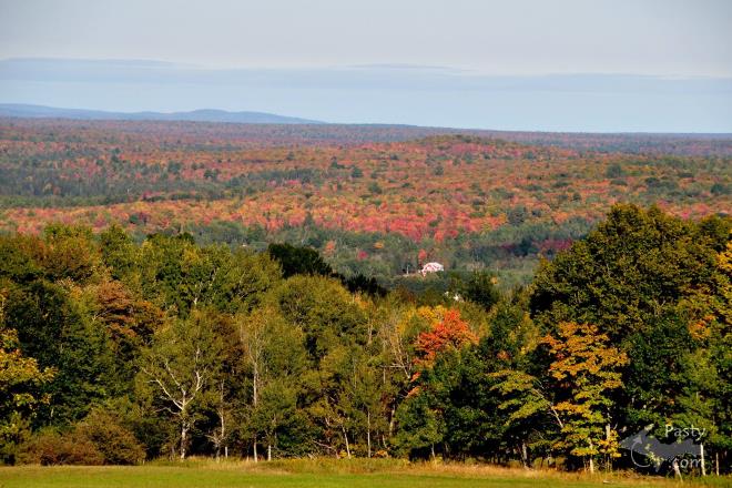 Photos by Bob Gilreath