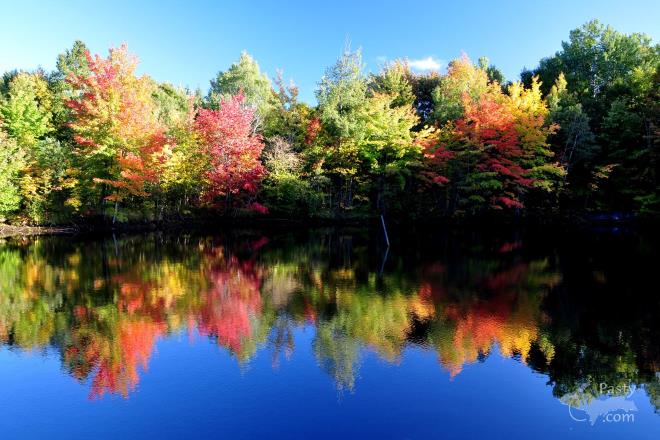 Photos by Bob Gilreath