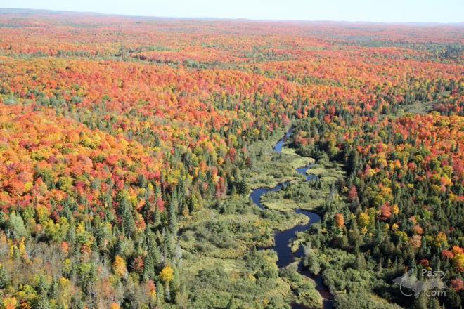 Photos by E. Neil Harri