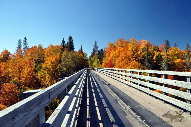 Photos by Bob Gilreath