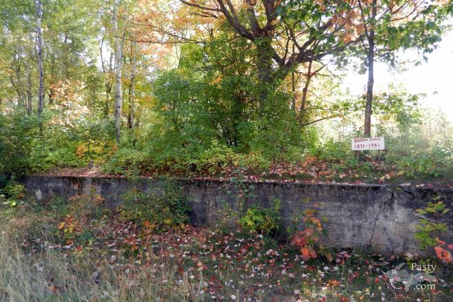 Photos by Laurie Bashaw