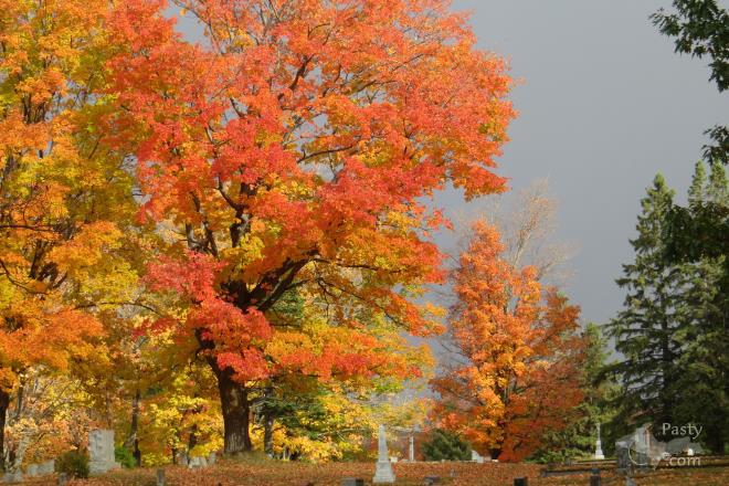 Photos by Susan Hooker